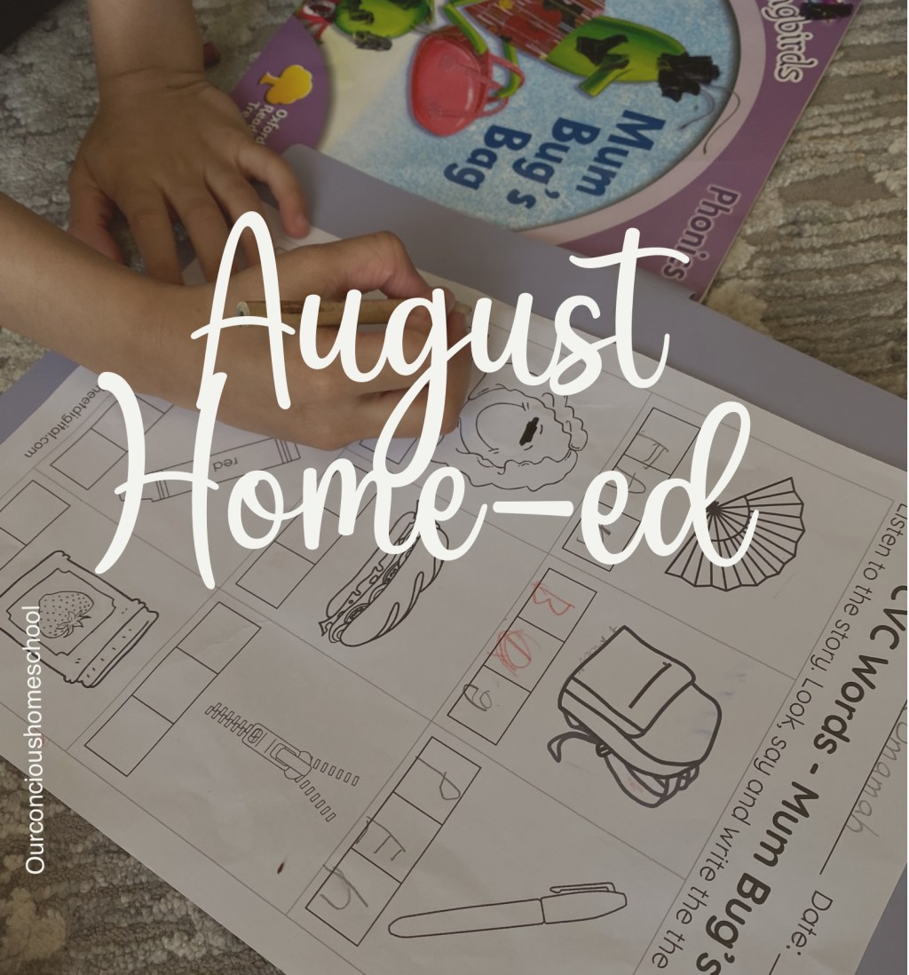 August Homeed 2023-2024