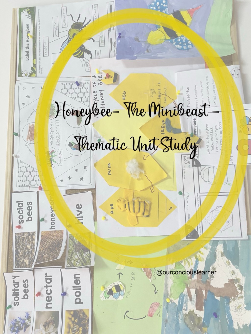 Honey Bee – The Minibeast – Thematic Unit Study&nbsp;KS1